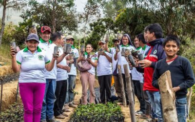 Help andere initiatieven met 1% for the Planet